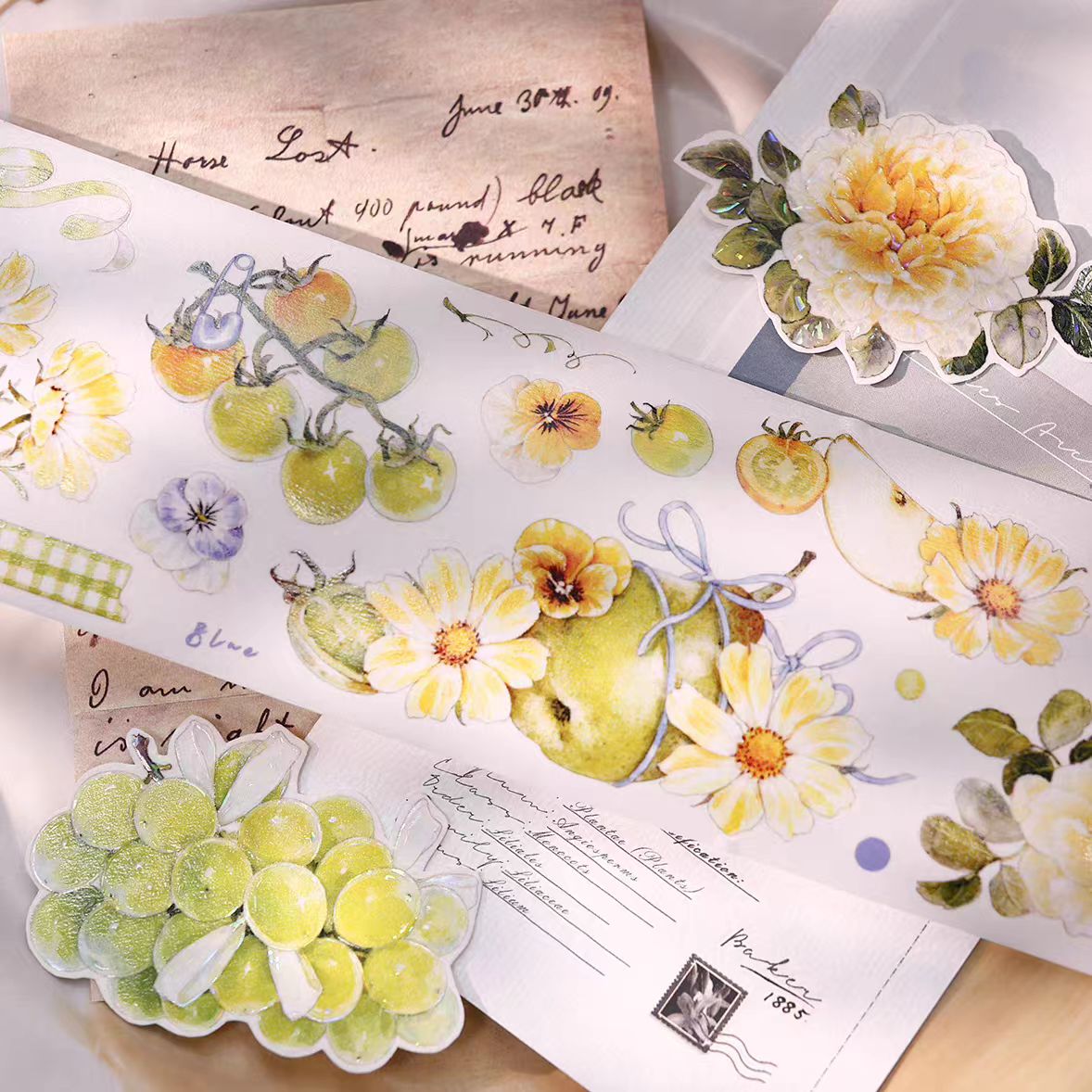 Journal pre-cut tape (6cm*5m/roll)