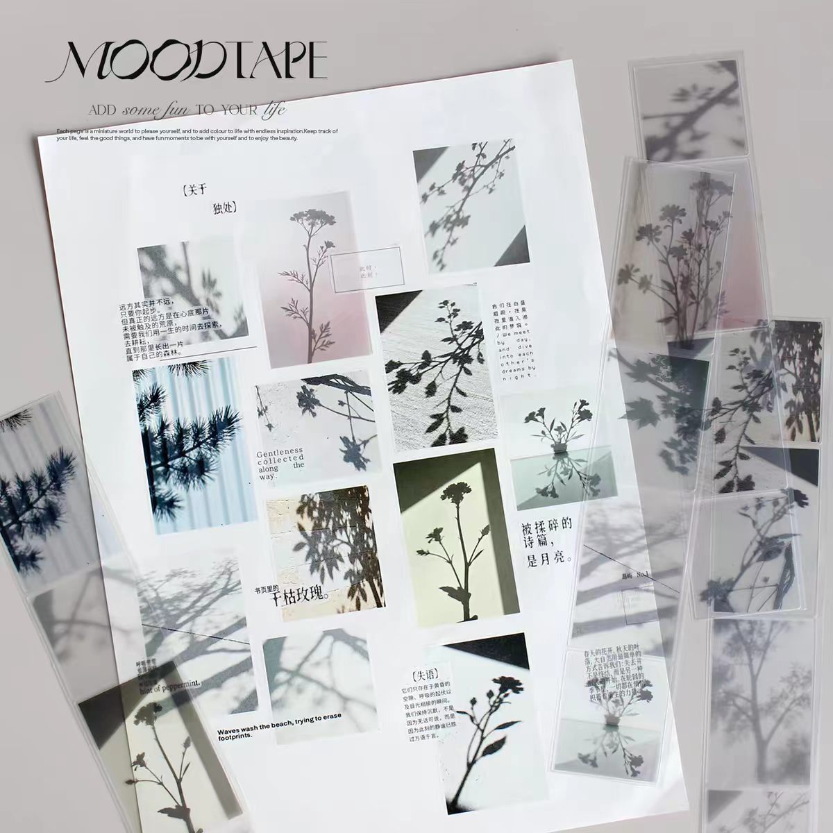 Journal pre-cut tape (4.5cm*5m/roll)