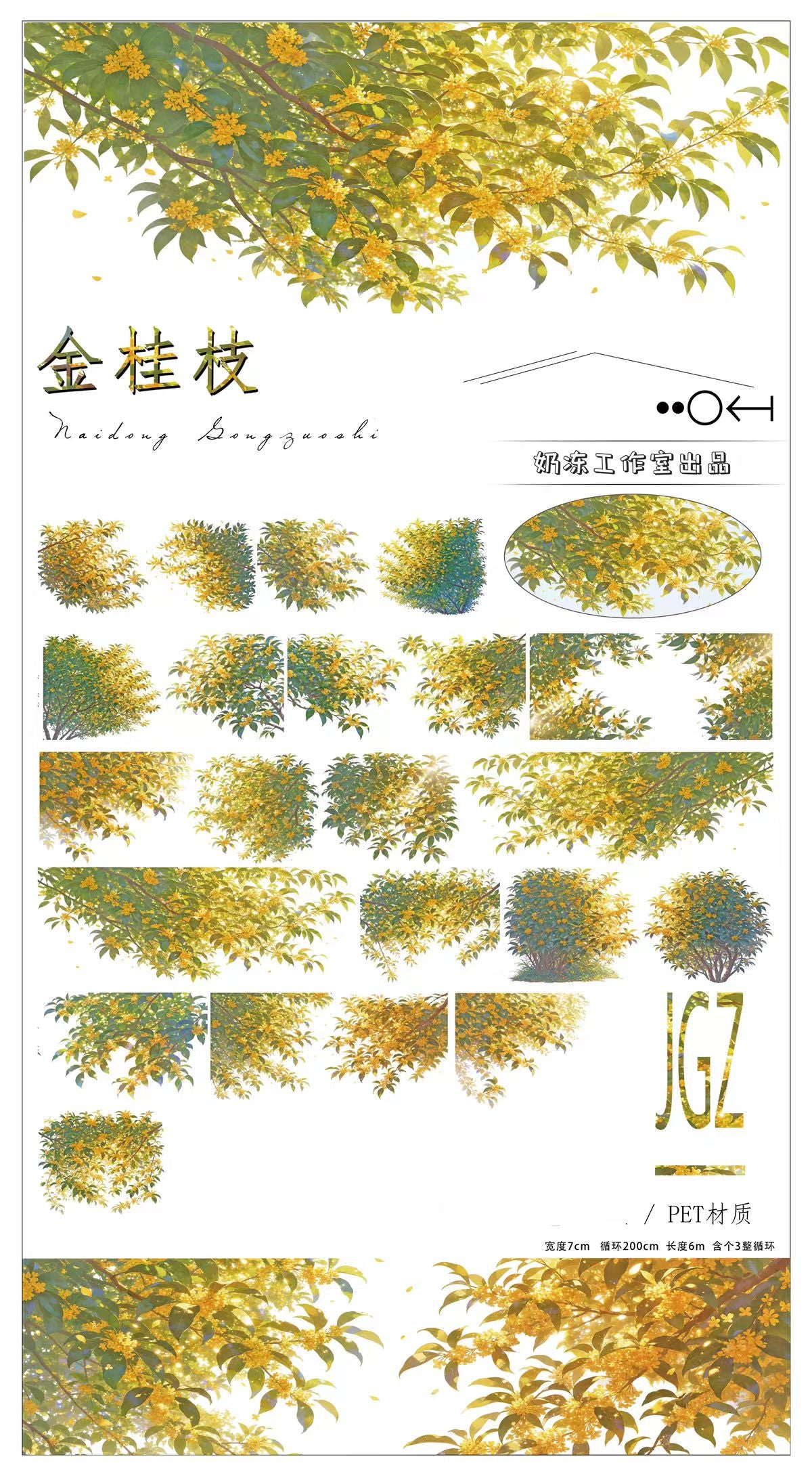 Journal landscape PET tape (5/6m/roll)