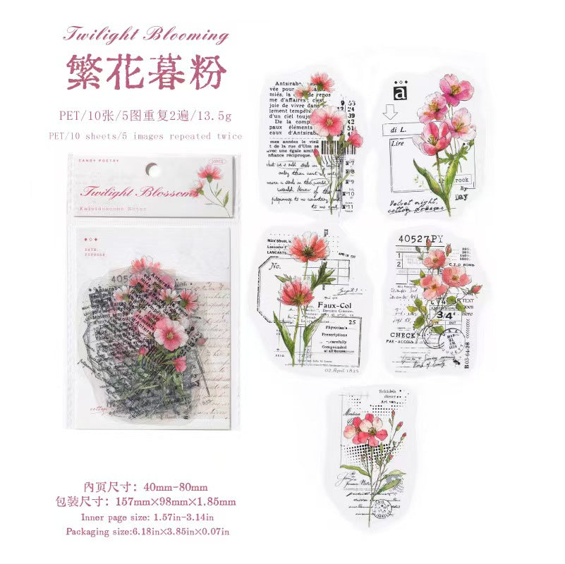 Journal PET sticker packs (10pcs/pack)