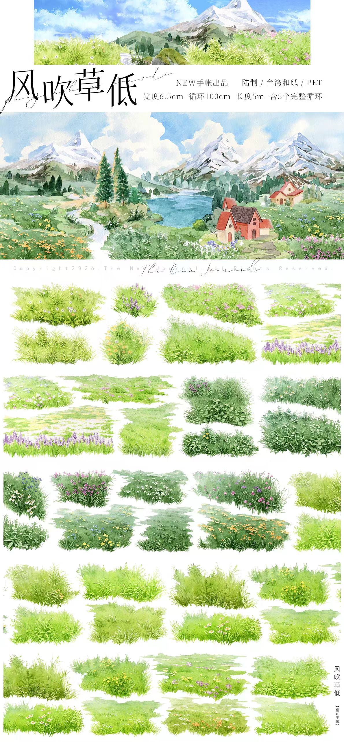 Journal landscape PET tape (5m/roll)