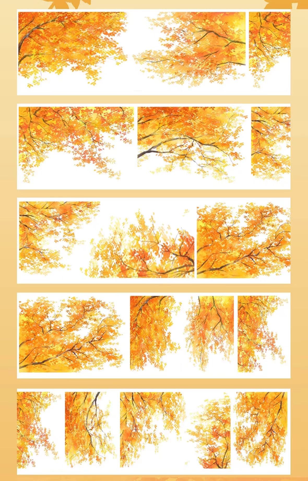 Journal landscape PET tape (5m/roll)