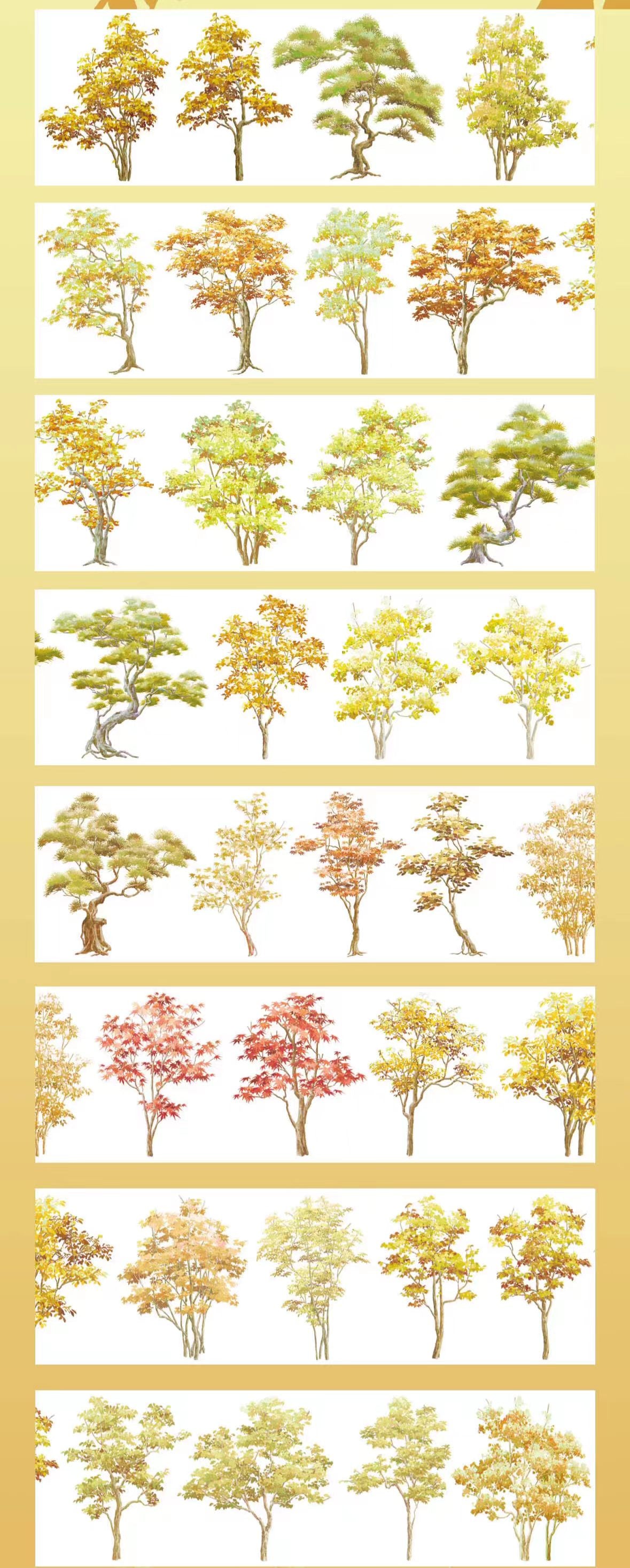 Journal landscape PET tape (5m/roll)