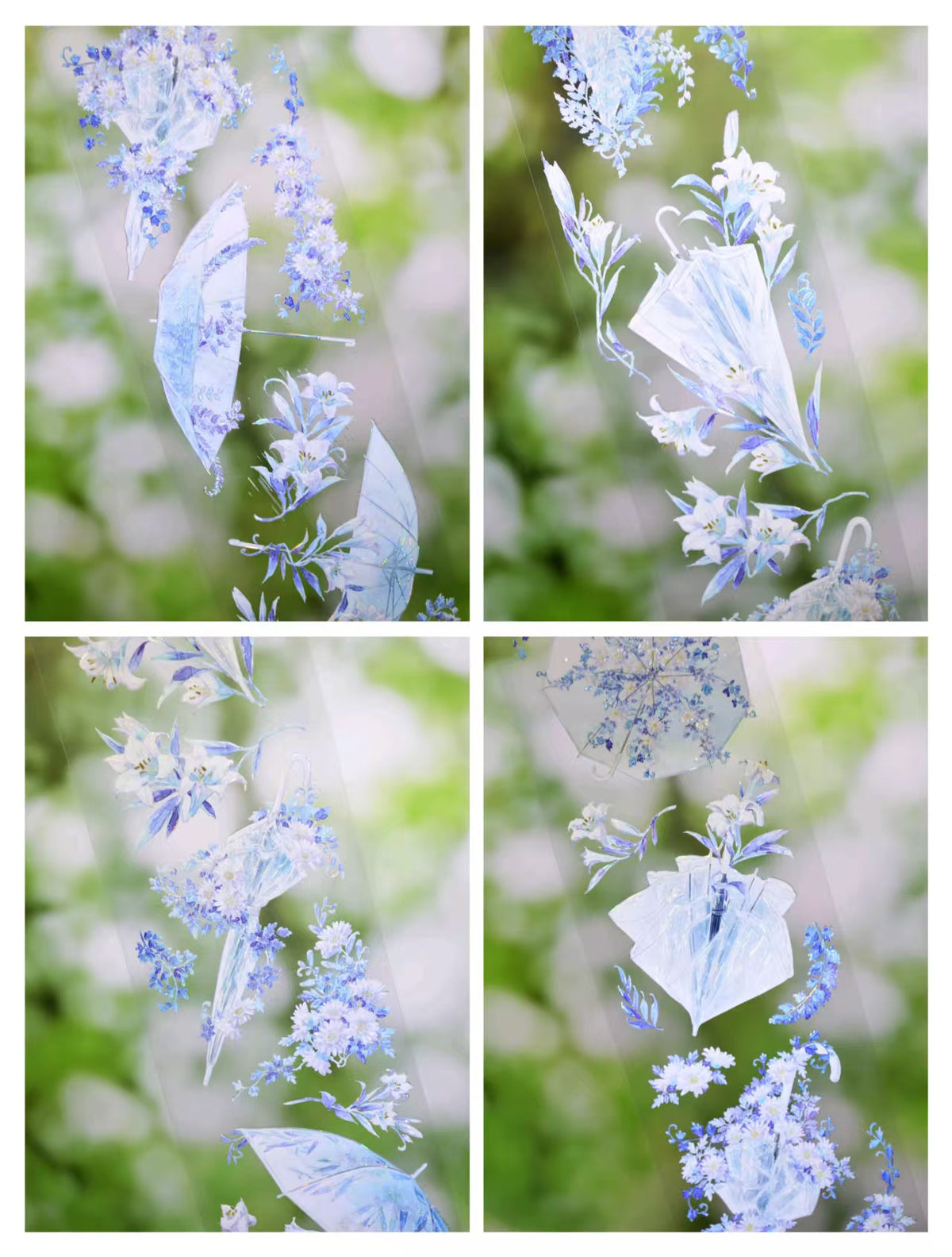 Journal PET tape (5m/roll)