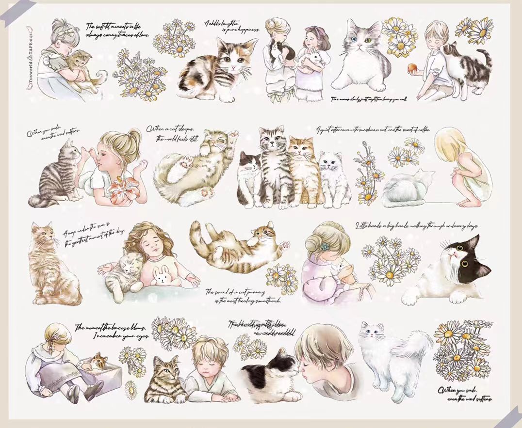 Journal PET tape (10m/roll) Cat