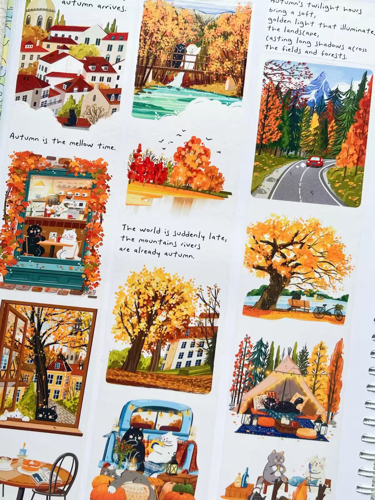 Journal cute pre-cut tape (5m/roll)