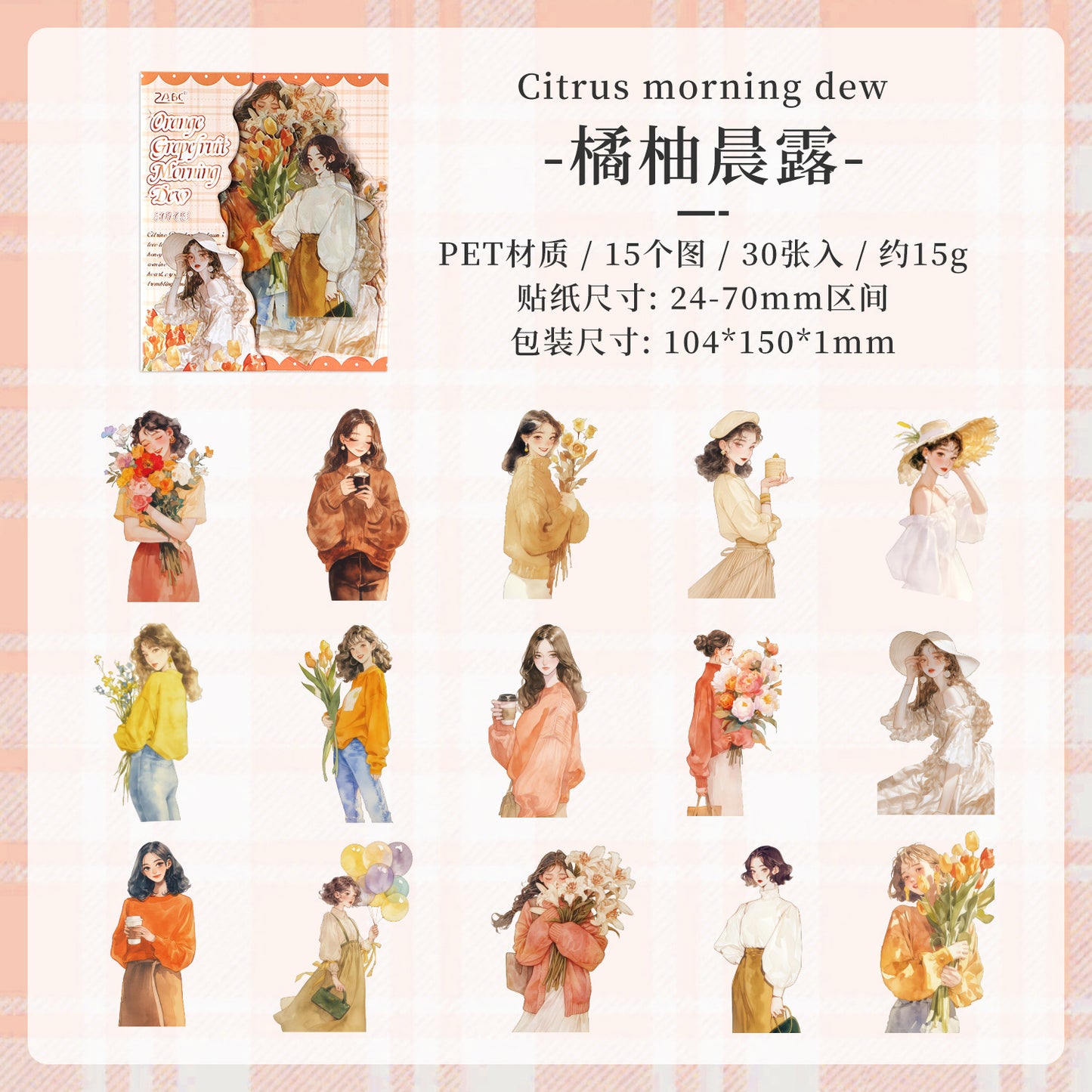 Journal PET sticker packs