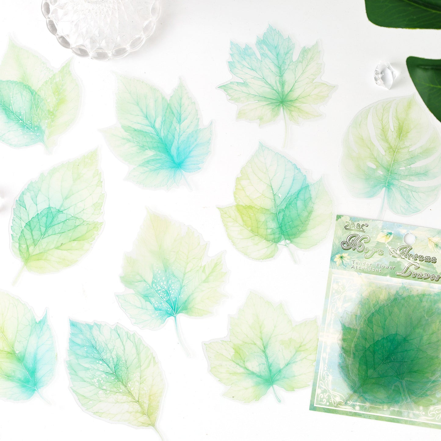 Journal PET sticker packs (20 pcs/pack)