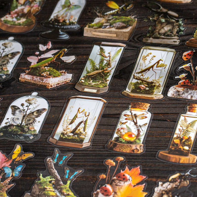 Journal PET sticker packs (Insect ecological specimens）10pcs/pack