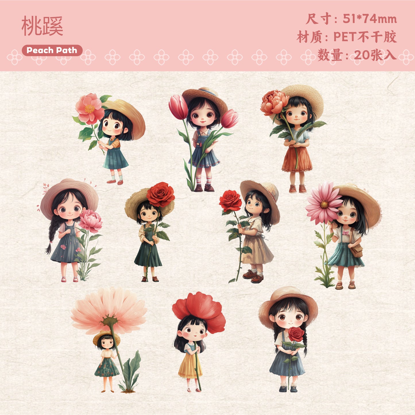 Journal PET sticker packs