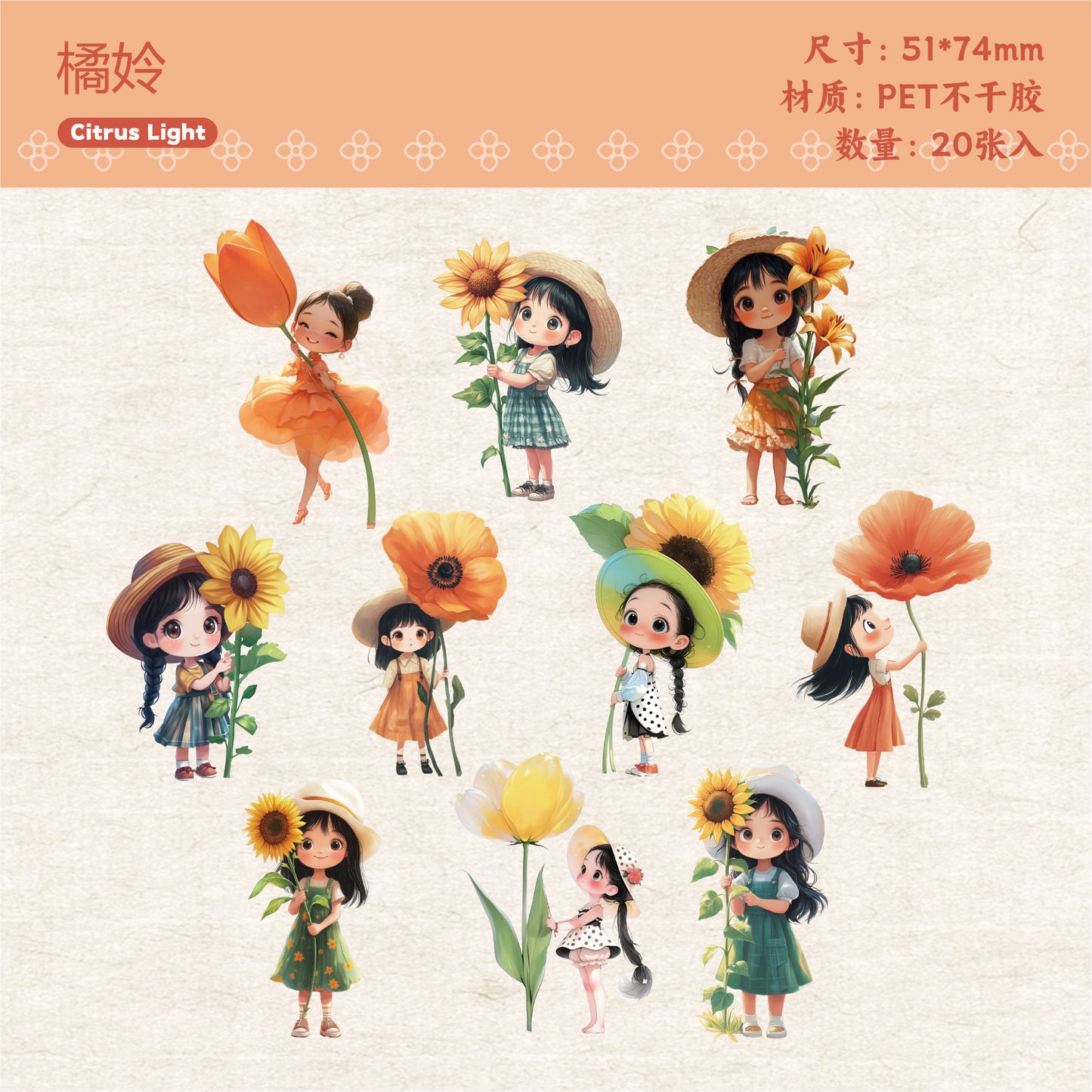 Journal PET sticker packs