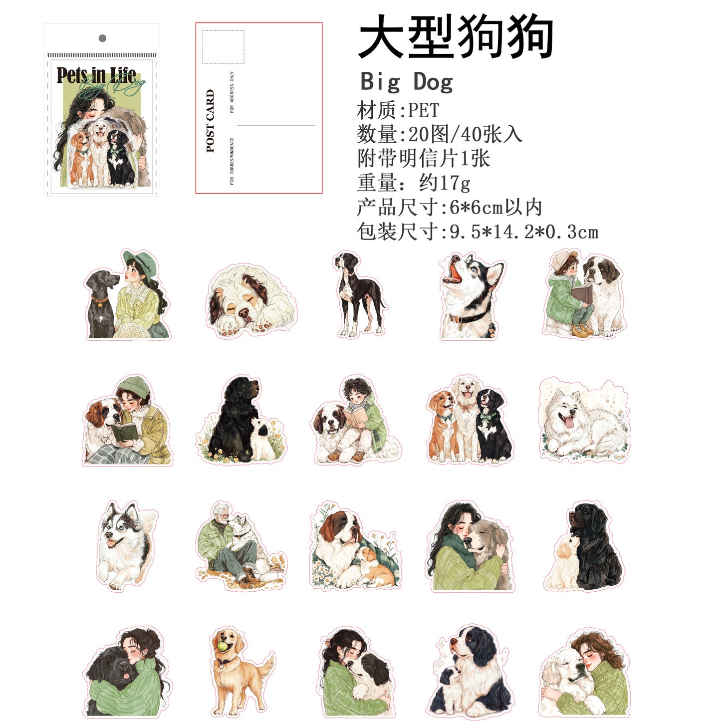 Journal PET sticker packs (Cat)