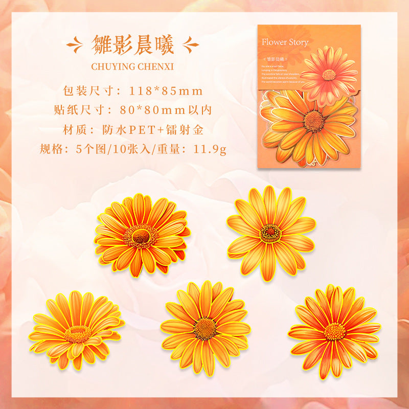 Journal PET sticker packs