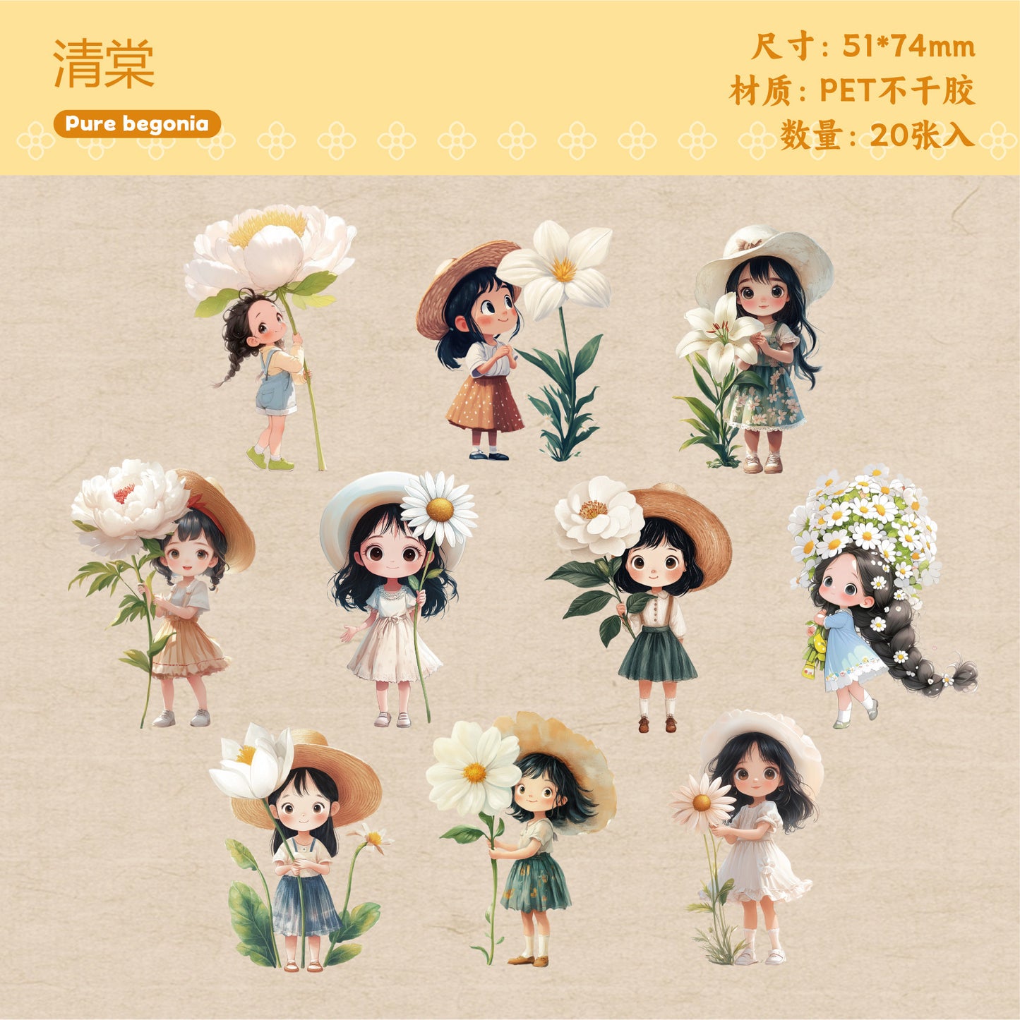 Journal PET sticker packs