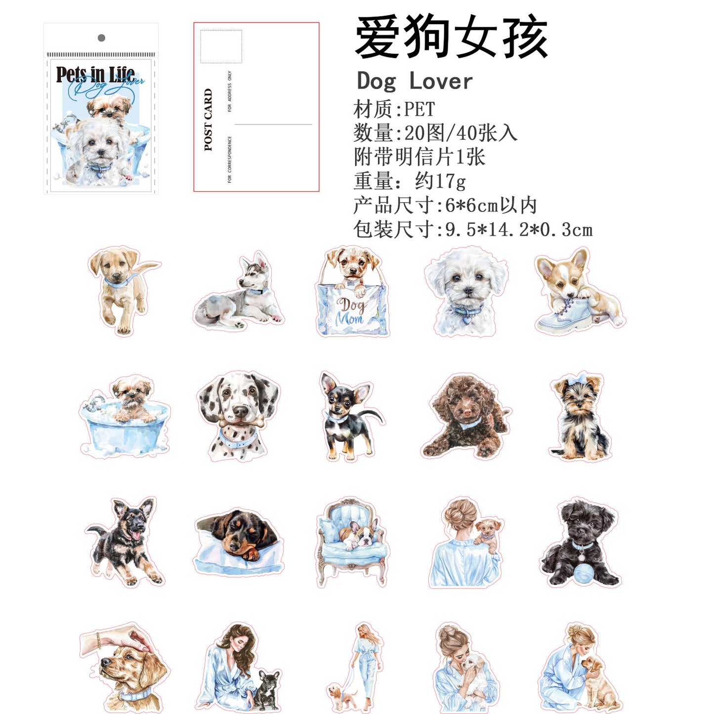 Journal PET sticker packs (Cat)
