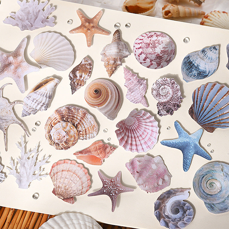 Journal hard card sticker packs (Shell Theme) 30pcs/pack