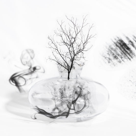 Journal PET sticker packs