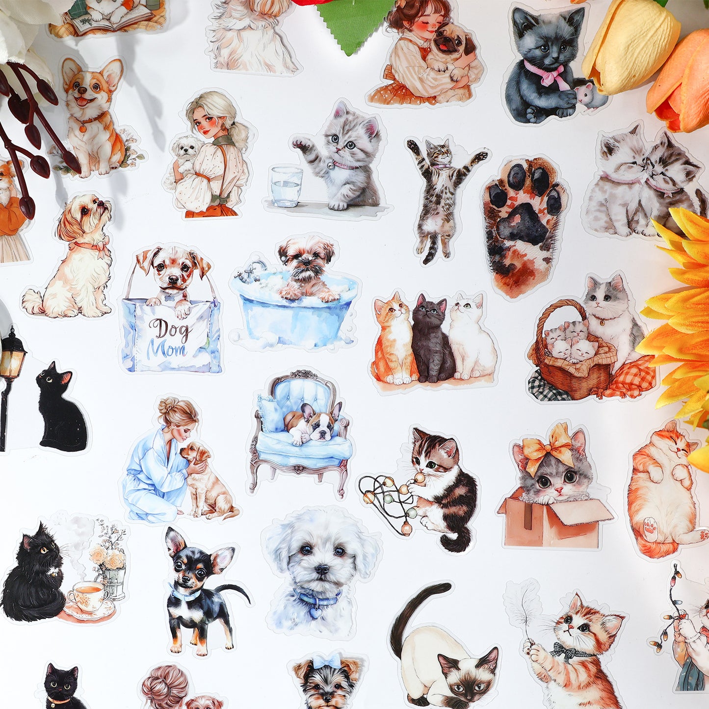 Journal PET sticker packs (Cat)