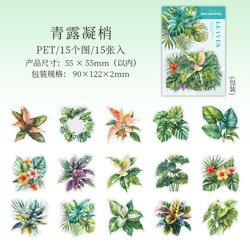 Journal PET sticker packs