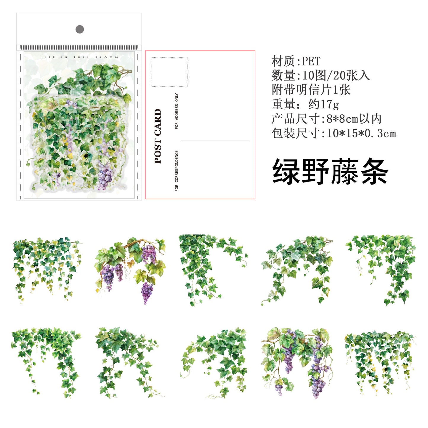 Journal PET sticker packs