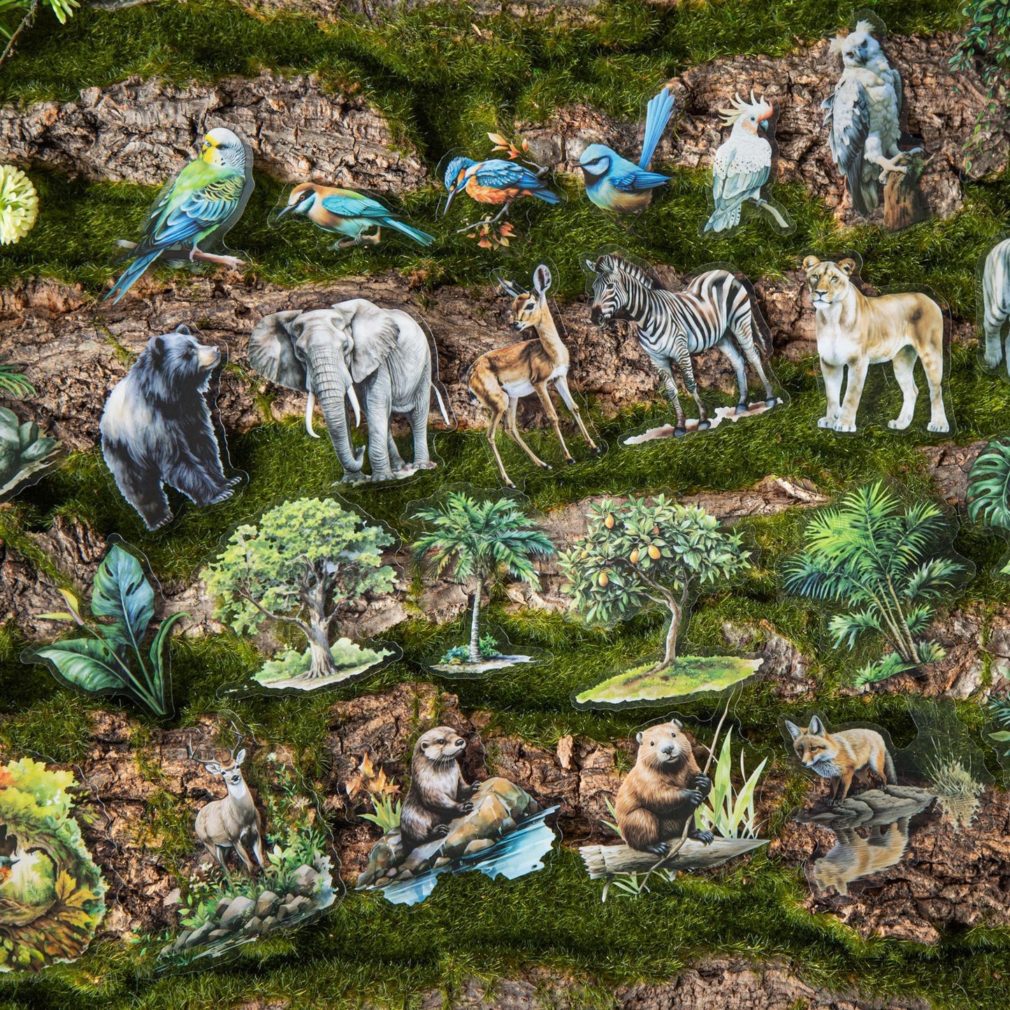 Journal PET sticker packs (Animal)