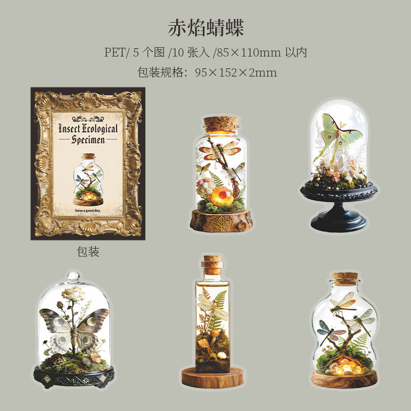 Journal PET sticker packs (Insect ecological specimens）10pcs/pack