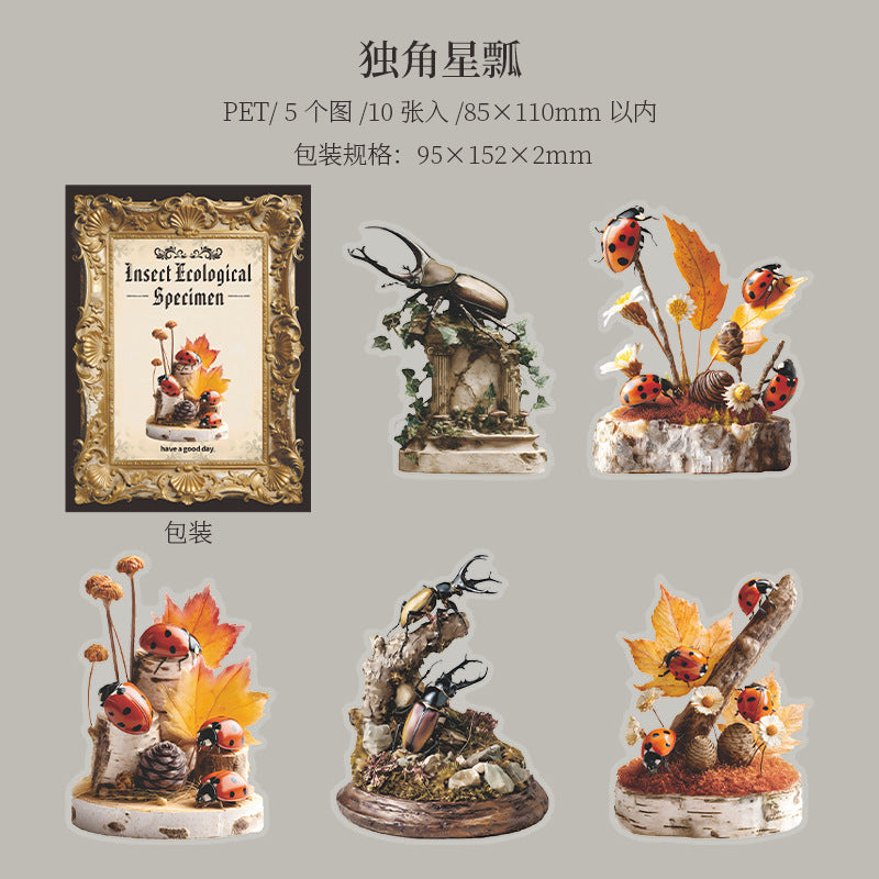 Journal PET sticker packs (Insect ecological specimens）10pcs/pack