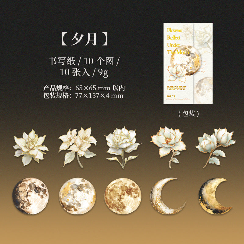 Journal PET sticker packs