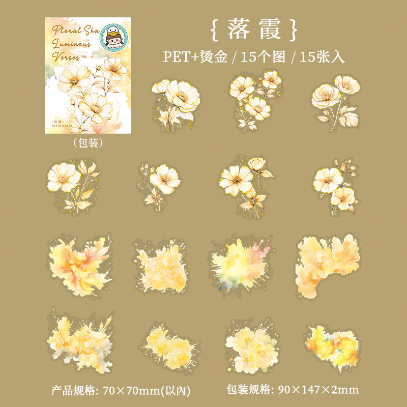 Journal PET sticker packs