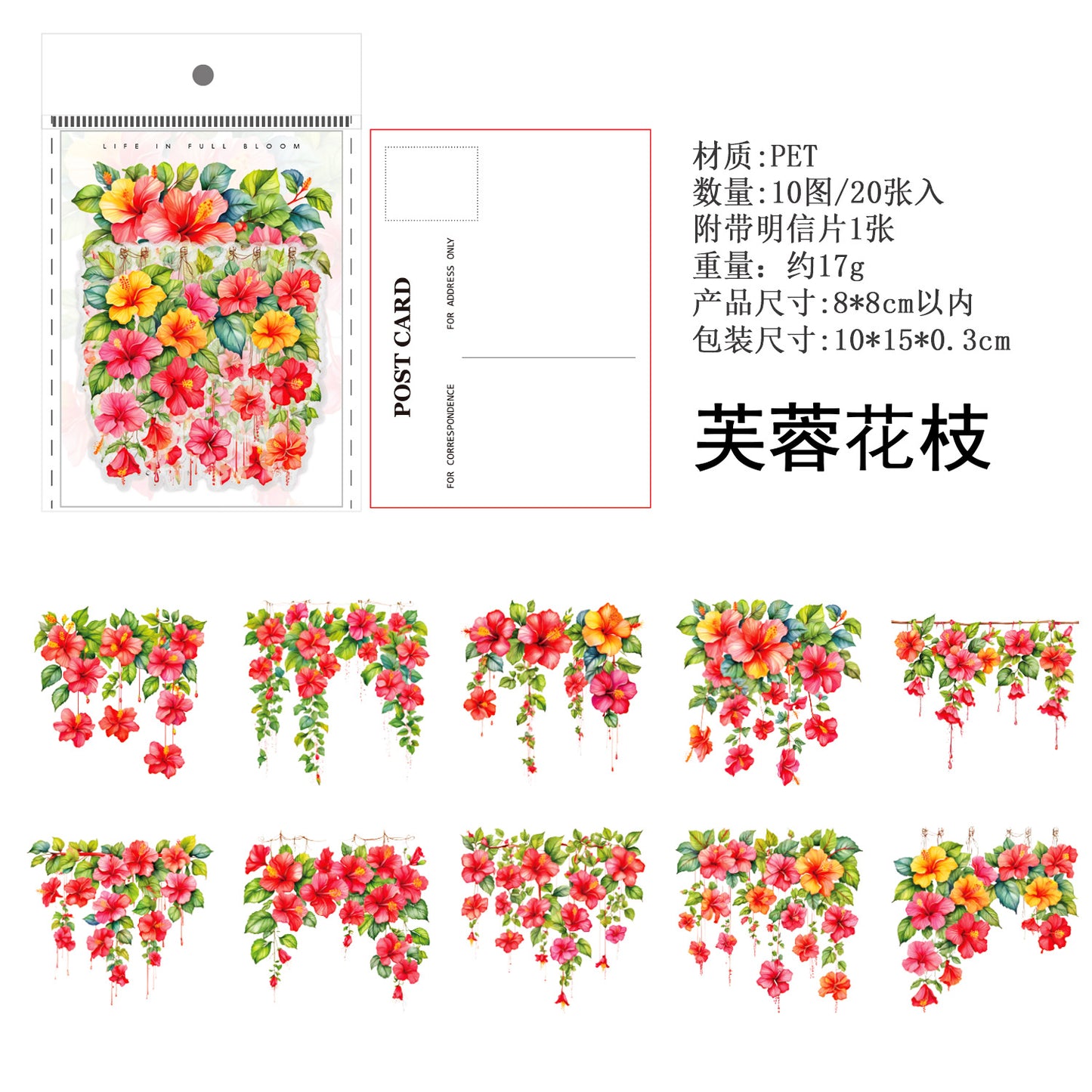 Journal PET sticker packs