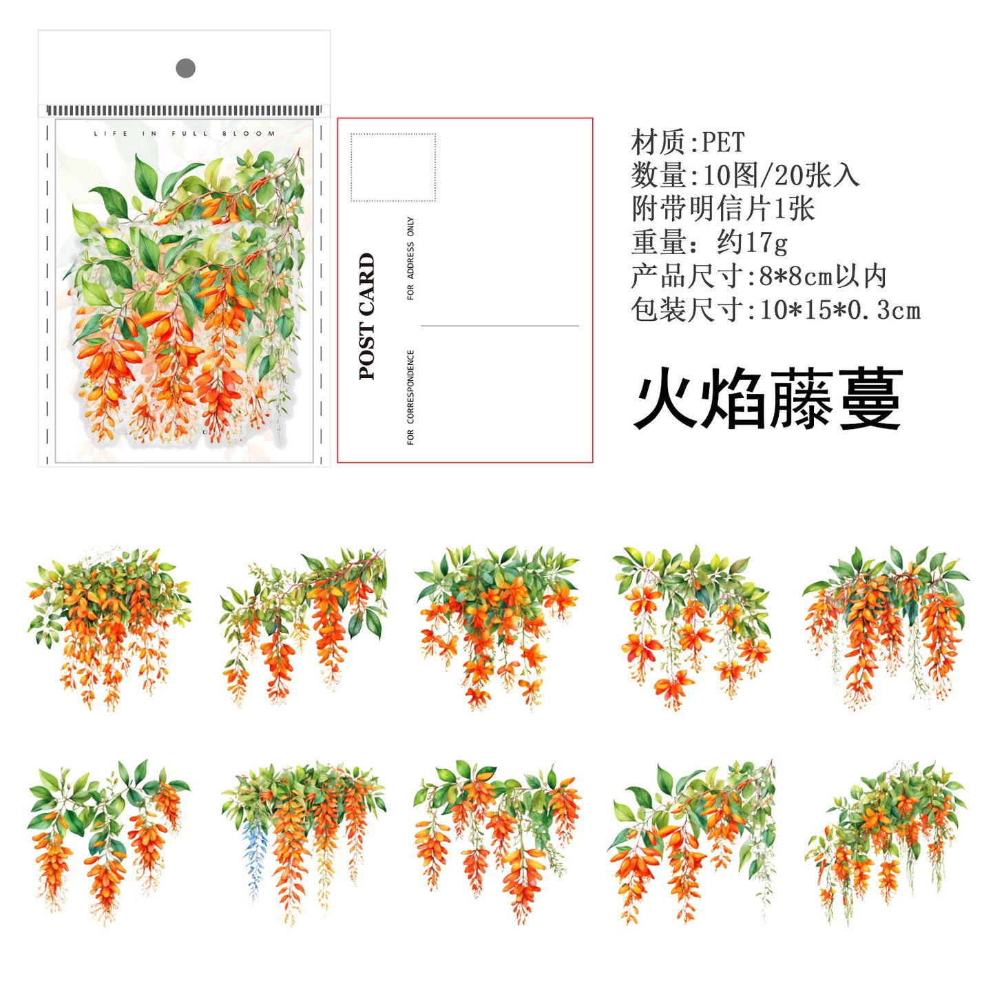 Journal PET sticker packs