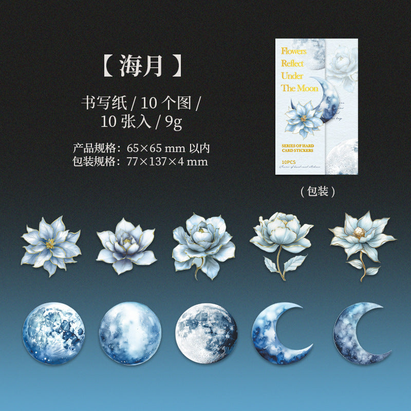 Journal PET sticker packs