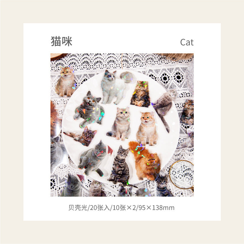 Journal PET sticker packs (Animal)