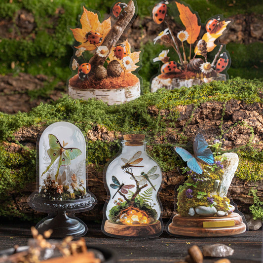 Journal PET sticker packs (Insect ecological specimens）10pcs/pack